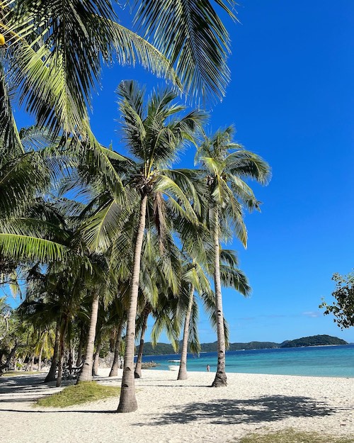 coco beach resort beach view