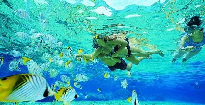 Snorkeling in Port Barton, Philippines, with vibrant fish and clear waters, perfect for underwater e.