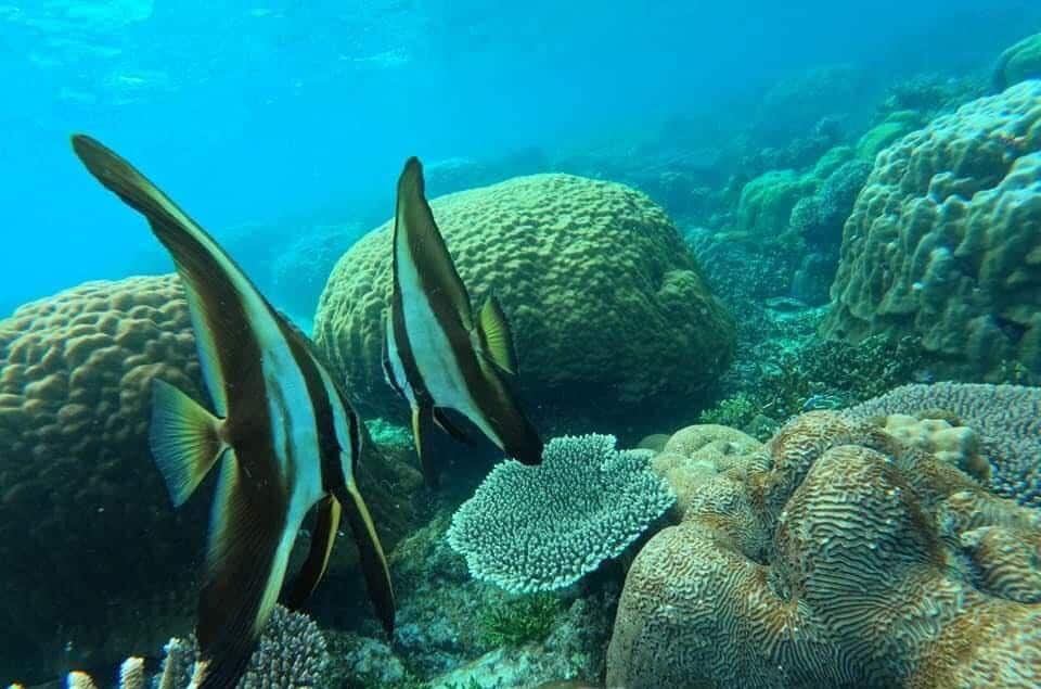 port barton diving pics 2