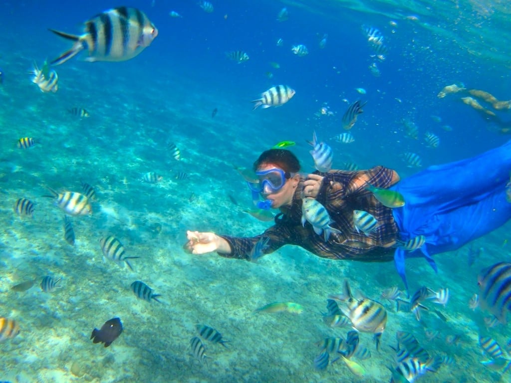 Shimizu Island with its underwater wonderland