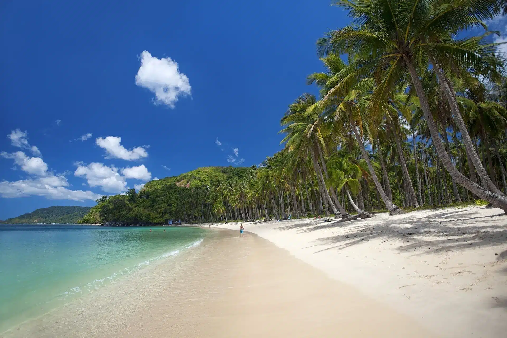 A sandy beach in Palawan is lined with tall palm trees under a clear blue sky. The tranquil turquoise water gently meets the shore of this deserted island. A person is walking in the distance, adding scale to the lush, tropical scenery.