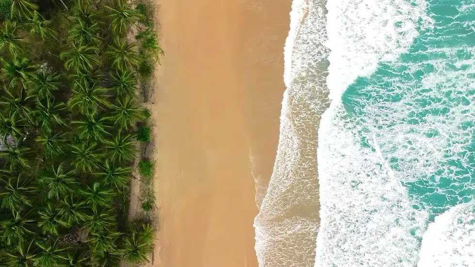 Nacpan Beach relax Aerial view of a deserted island beach with turquoise waves crashing onto the sandy shore. Dense green palm trees line the left side, contrasting with the golden sand and ocean, reminiscent of Palawan's untouched beauty.
