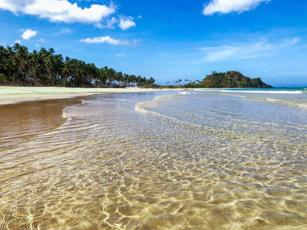 A serene beach scene with clear, shallow water gently lapping the shore. Tall palm trees line the beach under a blue sky with scattered clouds, reminiscent of a deserted island. A small hill is visible in the distance, inviting thoughts of exploring Palawan on a boat tour.