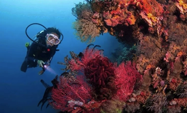 A scuba diver explores a colorful coral reef with red and orange corals, holding a flashlight underwater—a perfect adventure during an island hopping trip.