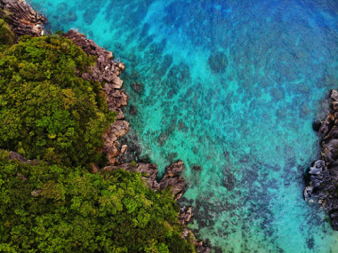 Aerial view of a turquoise sea meeting rocky cliffs covered in lush green foliage, inviting you to dream of island hopping or setting out on a scenic boat tour.
