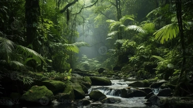 A lush, green rainforest with sunlight filtering through the canopy and a stream flowing over rocks surrounded by dense foliage, reminiscent of an island hopping adventure.