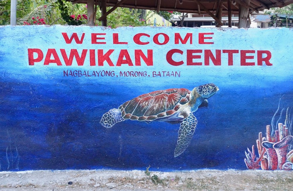 A colorful mural on a wall depicts an underwater scene with a sea turtle swimming near coral. Above the turtle, the text reads: "Welcome Pawikan Center, Nagbalayong, Morong, Bataan," inviting visitors to explore sea turtle conservation and embark on boat tours reminiscent of Palawan's beauty.