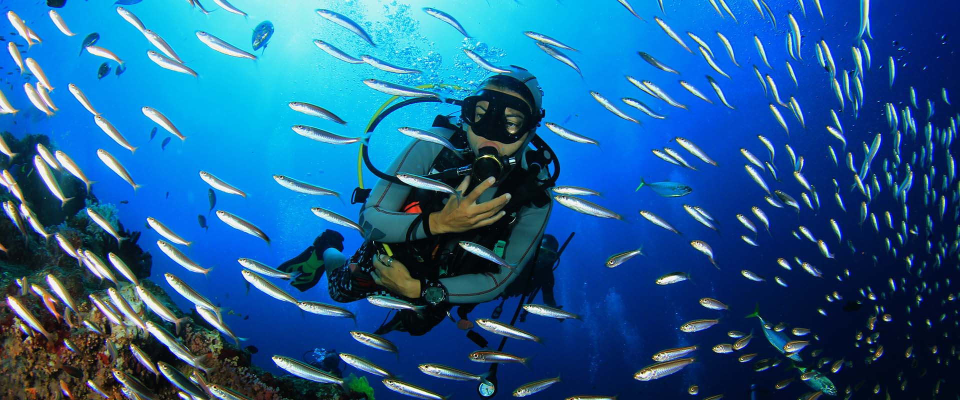 A scuba diver swims through a vibrant underwater scene in the Philippines, surrounded by a large school of small, silver fish. The deep blue water and coral reef create a colorful and dynamic marine environment, occasionally graced by majestic manta rays gliding silently by.