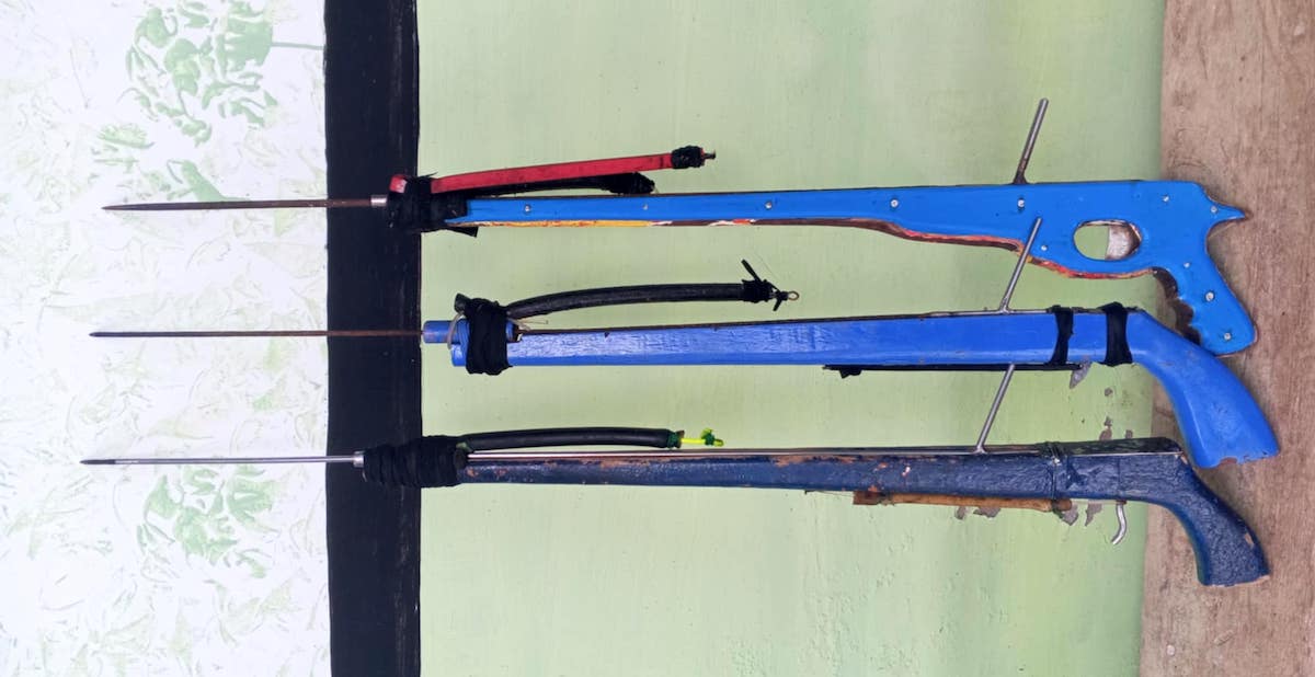 speargun fishing speargun fishing