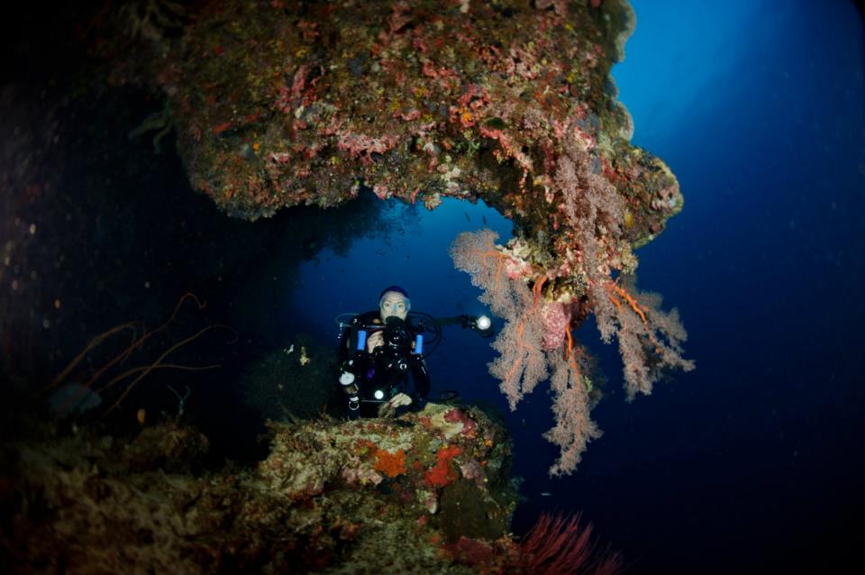 Seafan Alley Seafan Alley