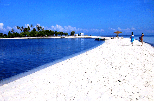 Bohol-Balicasag-Virgin-Island-Tour-philippines
