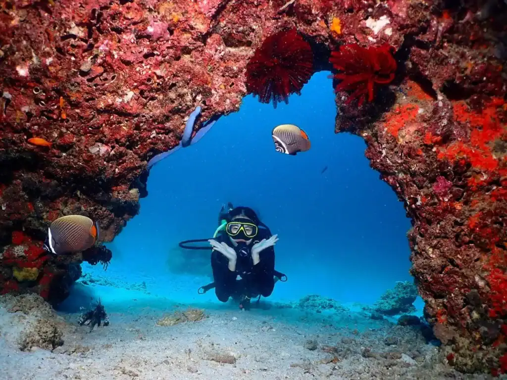 Diver exploring a vibrant coral cave with tropical fish during island hopping in the Thailand.