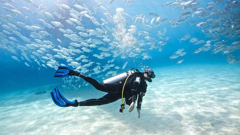 Snorkeler exploring vibrant coral reefs and schools of fish in the Thailand.