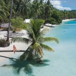 A woman relaxing on a fallen palm tree on a pristine beach in the Philippines.