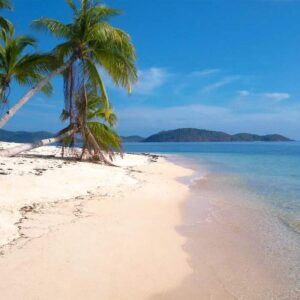 Scenic Philippine beach with palm trees, white sand, and clear blue ocean under a bright sky.