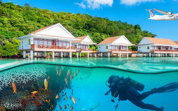 Overwater bungalows in the Philippines with stunning marine life beneath the surface.