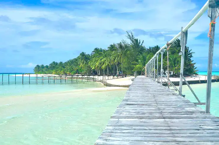 Stunning island view with wooden pier over clear blue waters, lush palm trees, and pristine beaches in the Philippines.