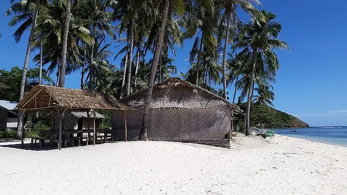 Hut on white sandy beach with tall palm trees and clear blue ocean. Perfect tropical getaway in the Philippines.