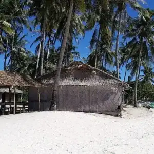 Idyllic Philippines beach with palm trees and traditional hut.