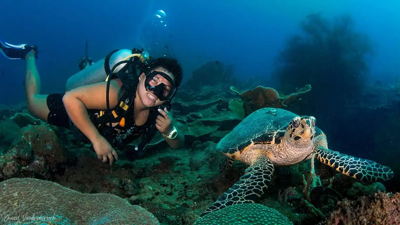 Underwater adventure with a scuba diver and a sea turtle among vibrant coral reefs in the Philippines.