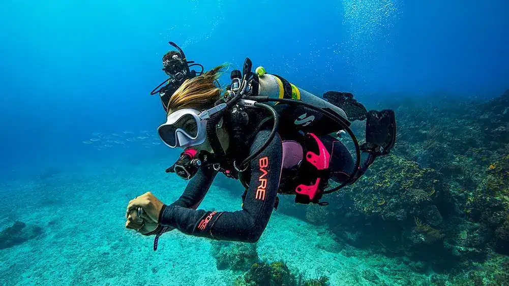 Vibrant underwater coral reef with a diver exploring marine life in the Philippines.