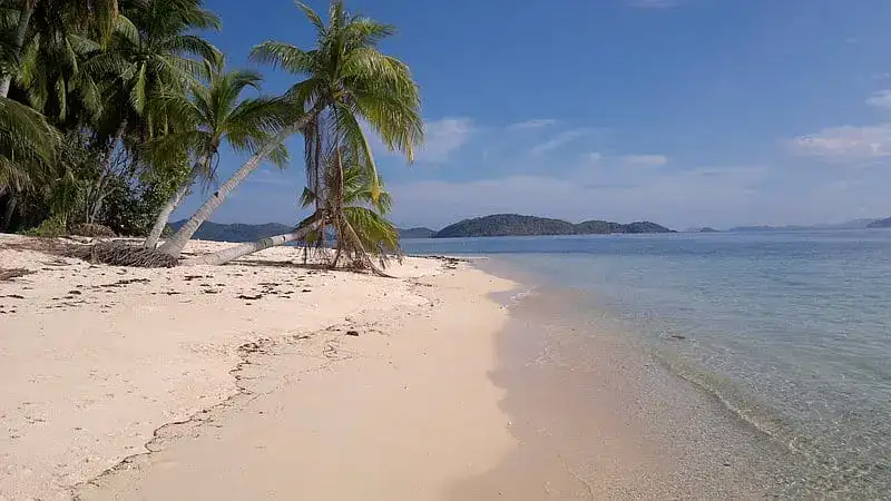Pristine Philippines beach with palm trees and clear waters.