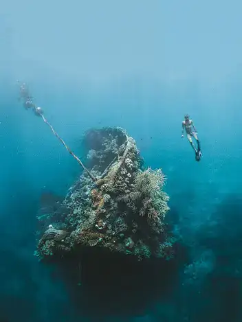 Underwater view of a coral-covered shipwreck with divers exploring the site.