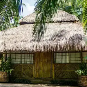 Magnificent traditional bamboo hut with thatched roof, surrounded by lush greenery in the Philippines.