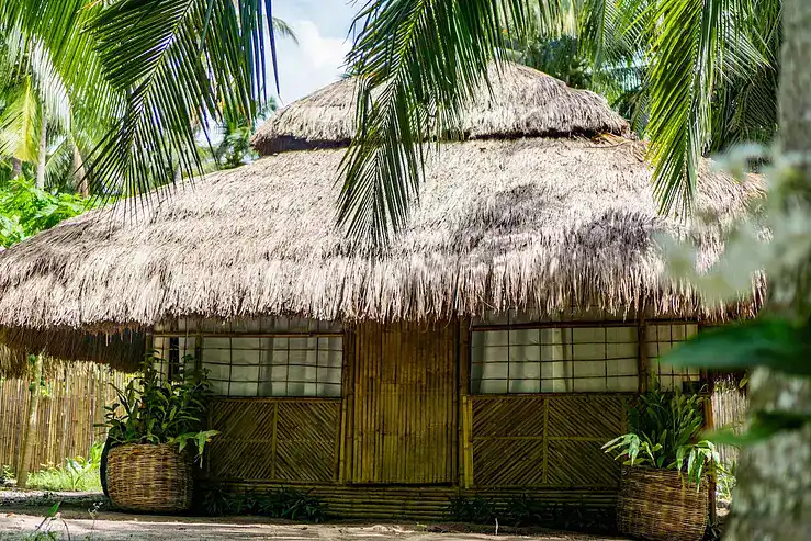 Magnificent traditional bamboo hut with thatched roof, surrounded by lush greenery in the Philippines.