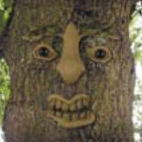 Czech-personality-3.jpg (7736 bytes)