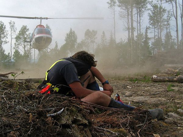 treeplanting chopper 5