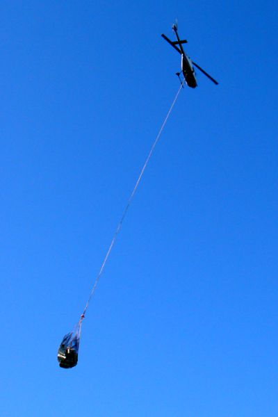 treeplanting chopper cash 1