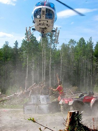 treeplanting chopper cash 2