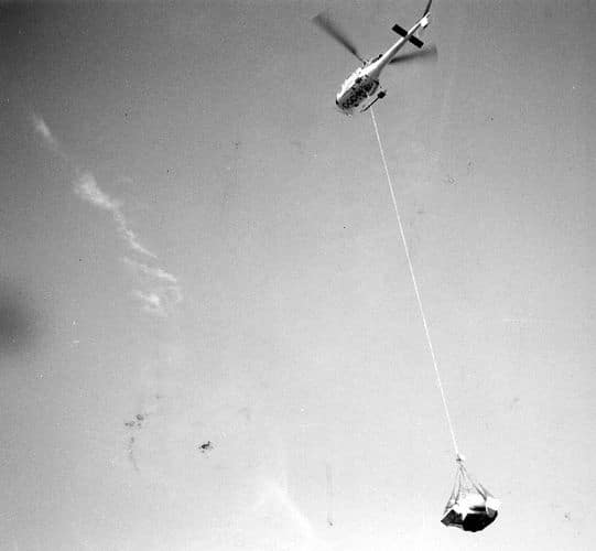 treeplanting chopper lift cash