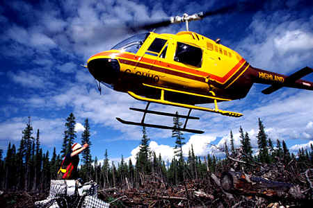 treeplanting chopper