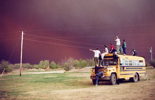treeplanting scenery 14