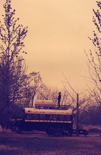 treeplanting scenery 15