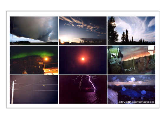 treeplanting scenery 16