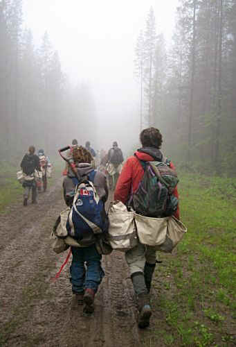 treeplanting scenery 4