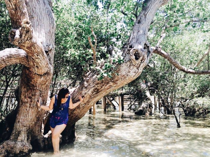 Iloilo-City-Bacolod--Mangrove-Eco-park-Suyac Island-wading-water