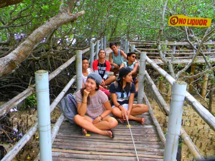 Iloilo-City-Bacolod--Mangrove-Eco-park-Suyac Island