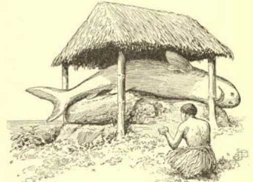 A person kneels before a large fish under a thatched-roof shelter, evoking a vintage island hopping expedition in black and white.
