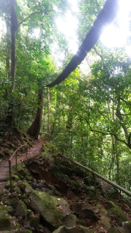 iloilo-city-to-bacolod-mambukal-resort-waterfalls-20180810_132718