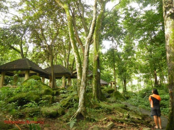 iloilo-city-to-bacolod-mambukal-resort-waterfalls-picnic-cottages