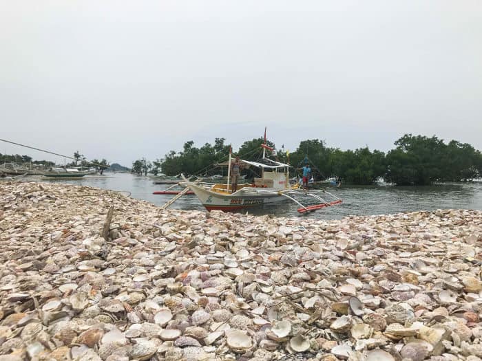 A boat is docked near a shore covered in seashells, with lush green trees in Carles under a cloudy sky, ready for an island hopping adventure.