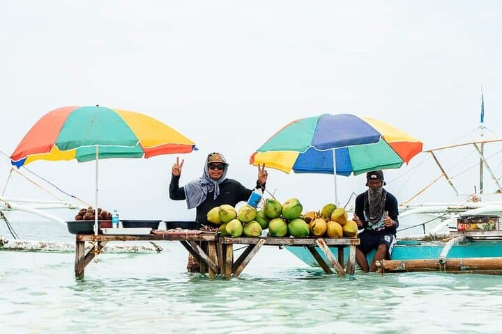 Balicasag Island Hopping Dolphin Watching panglao