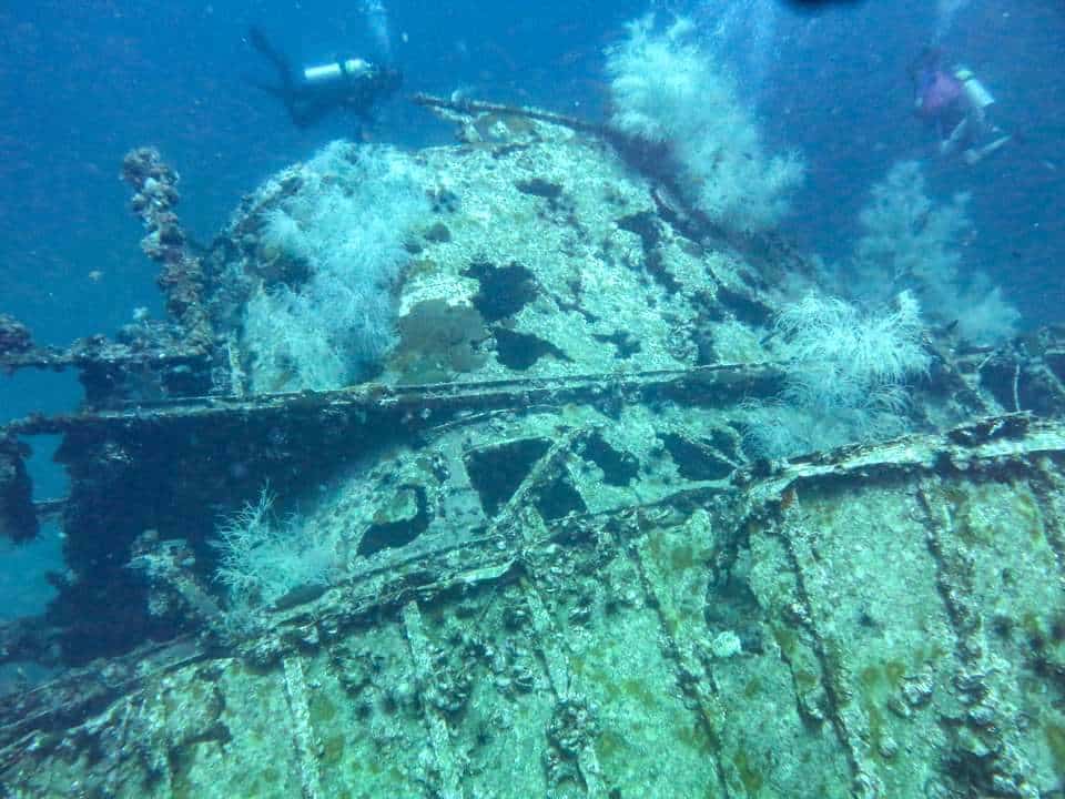 Dona Marilyn diving Dona Marilyn diving