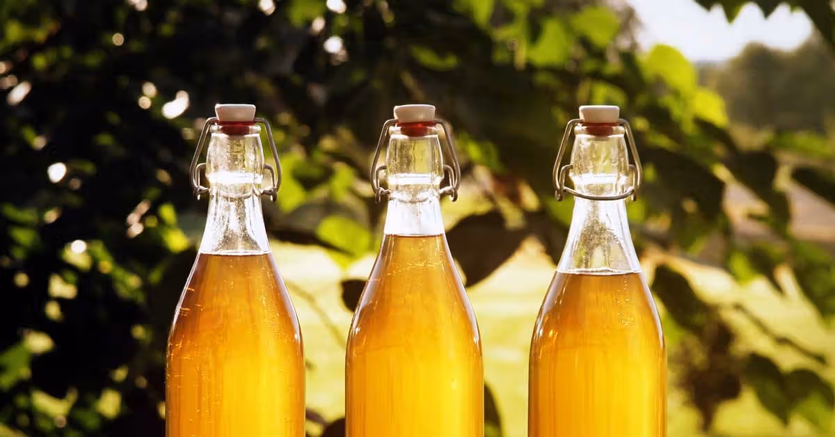 Beer detox weight loss resort mead