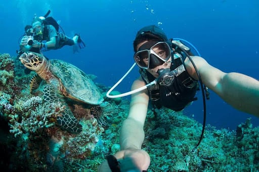 Apo island snorkeling