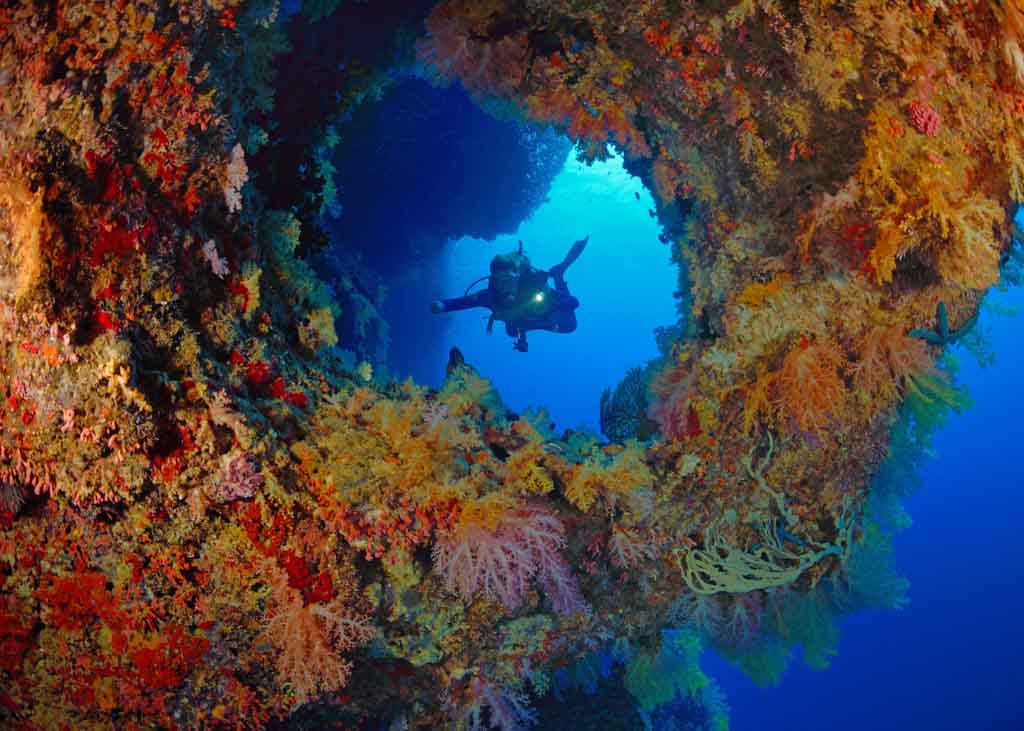 Magic Island Resort Moalboal Philippines Diving Diving Moalboal 6 Magic Resorts Office